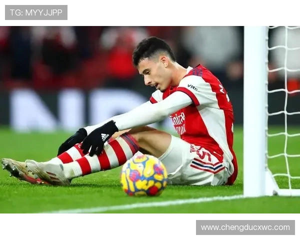 阿尔特塔谈伤病难题称家庭琐事也可能影响球员状态